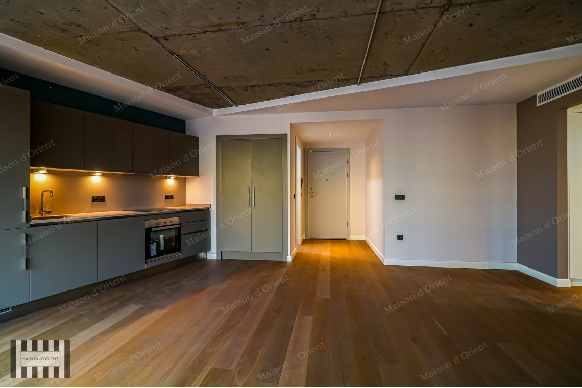 1+1 Flat for Rent in New Project, Galata