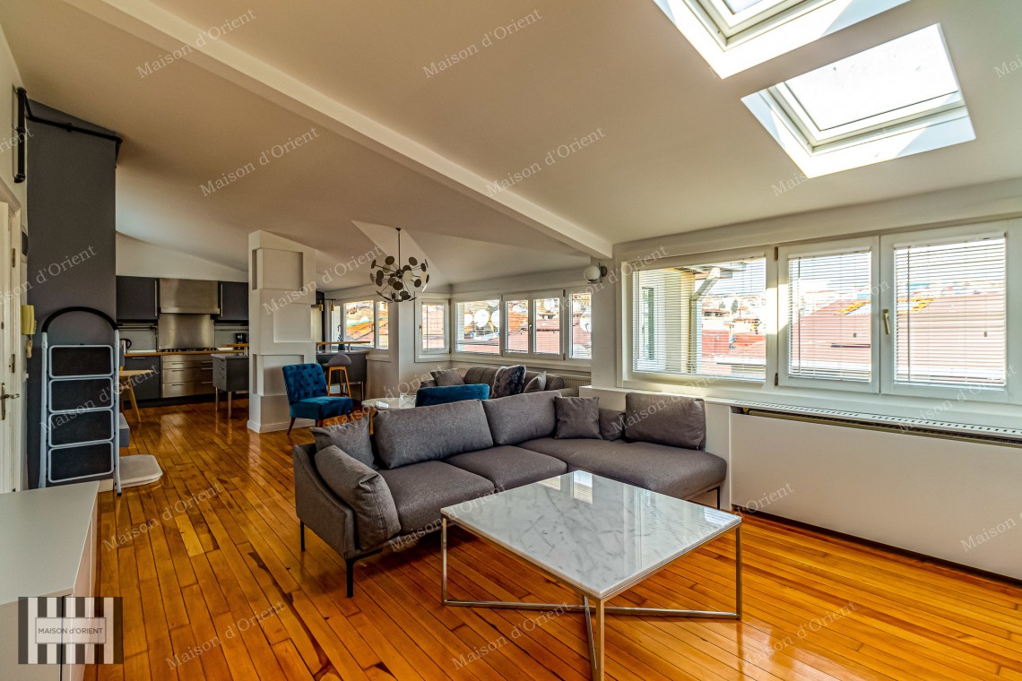 1+1 Furnished Flat for Rent with View in Historical Building, Galata