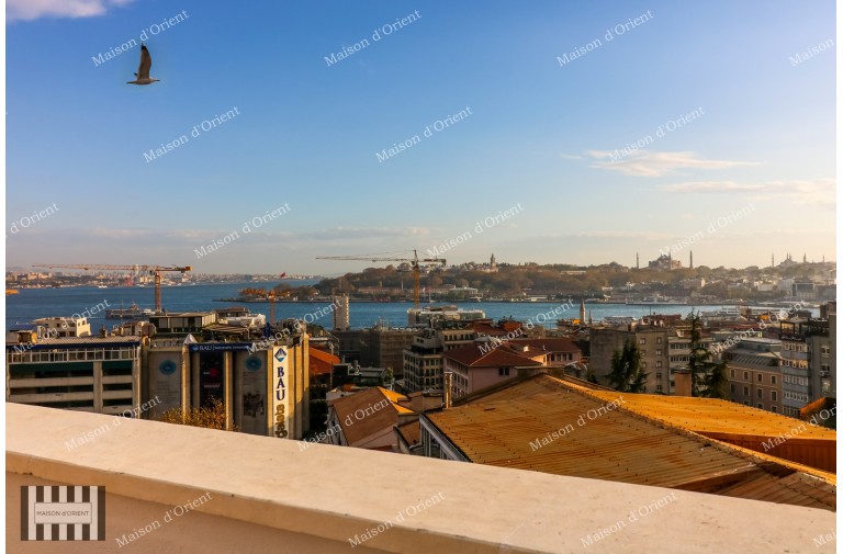1+1 Flat for Rent with Terrace and View in Galata