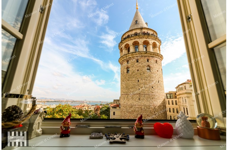 1+1 Flat for Rent in Historical Urgliavich Building in Galata
