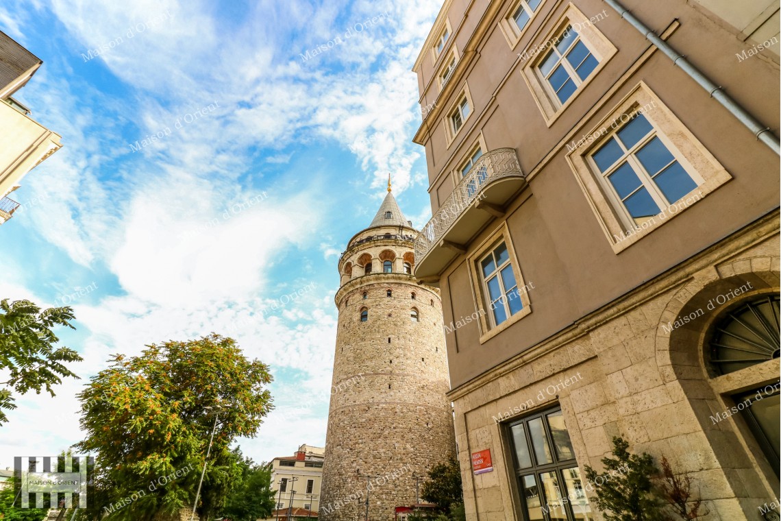 1+1 Flat for Rent in Historical Urgliavich Building in Galata