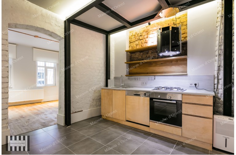 1+1 Flat for Rent in Greek Architecture Building in Firuzağa
