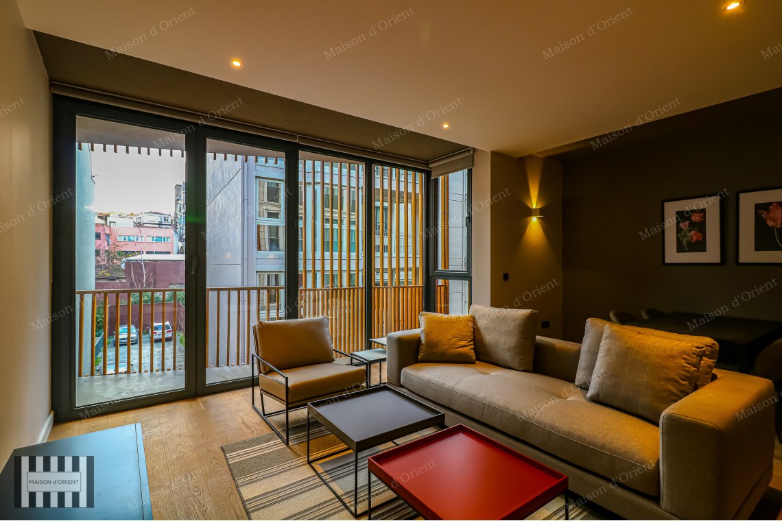 2+1 Furnished Flat for Rent in New Project, Galata