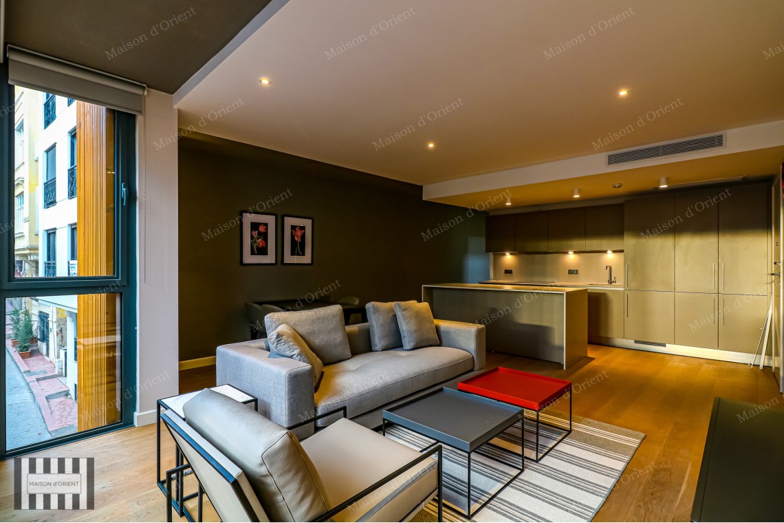 2+1 Furnished Flat for Rent in New Project, Galata