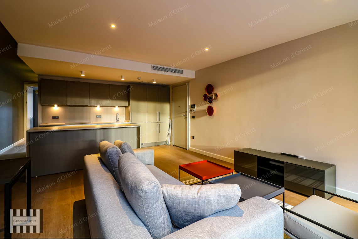 2+1 Furnished Flat for Rent in New Project, Galata