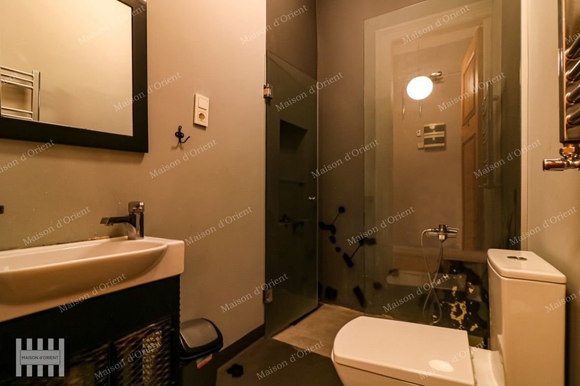 2+1 Furnished Flat for Rent in Historical Suriye Passage