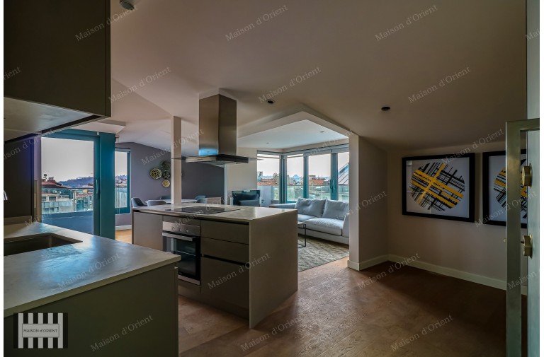 3+1 Furnished Duplex for Rent in New Project, Galata