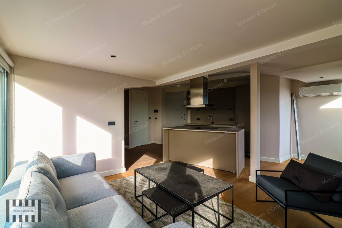3+1 Furnished Duplex for Rent in New Project, Galata
