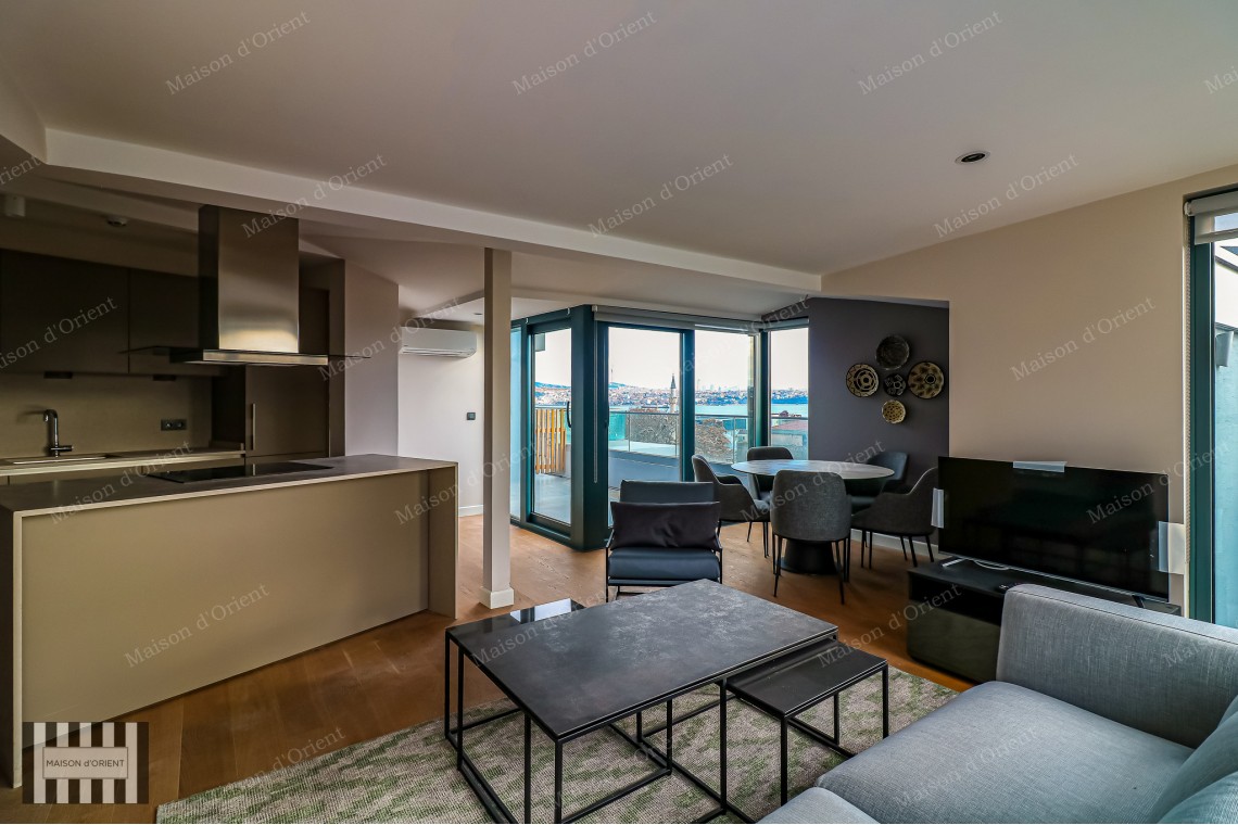 3+1 Furnished Duplex for Rent in New Project, Galata