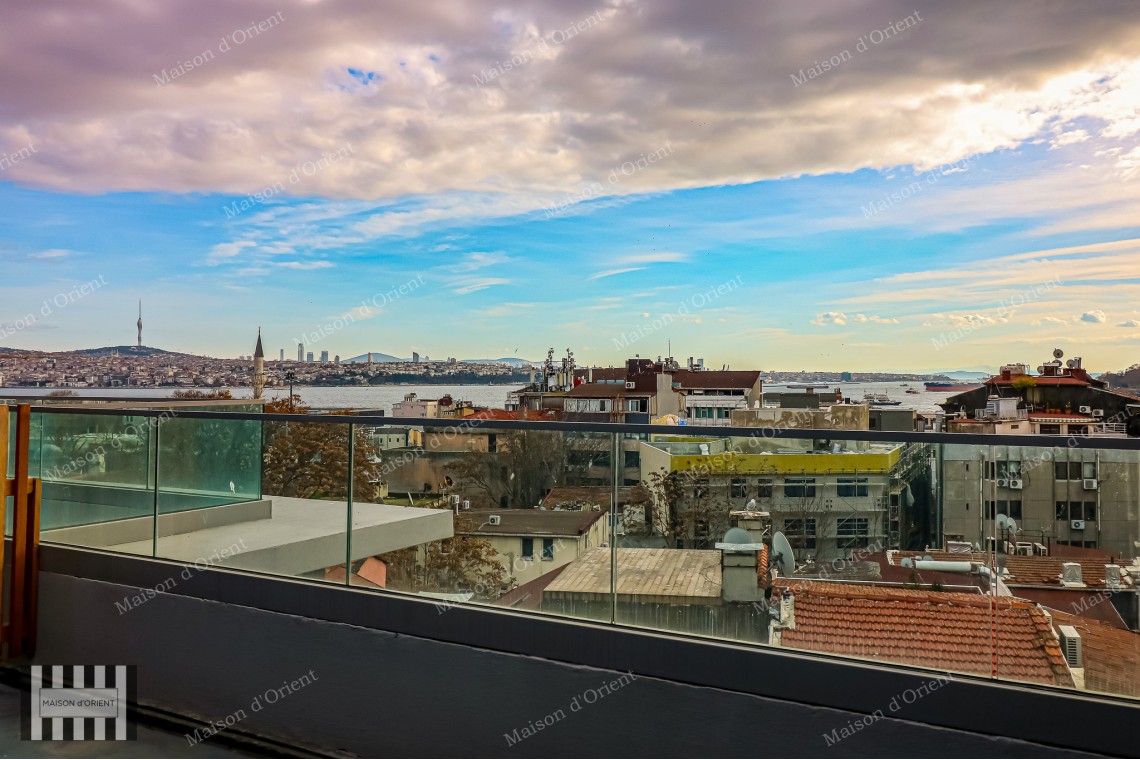 3+1 Furnished Duplex for Rent in New Project, Galata