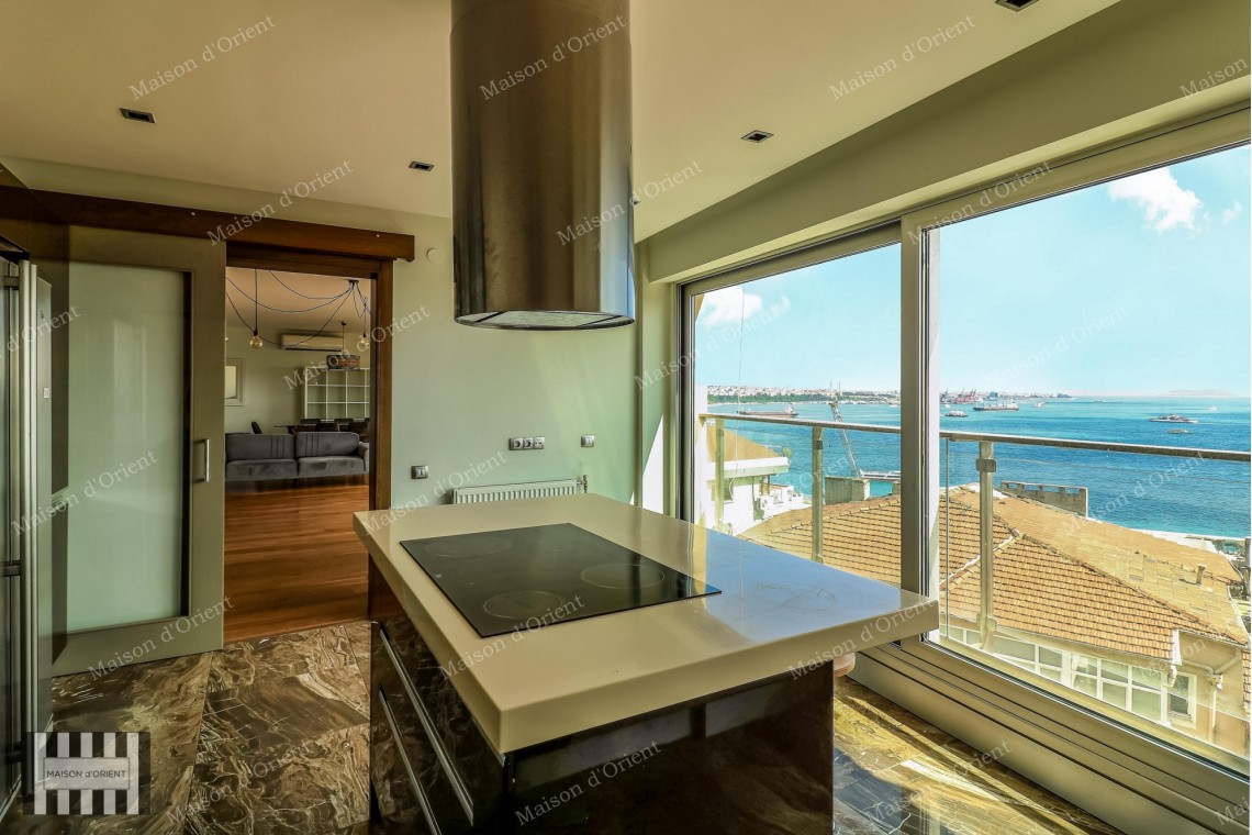 3+1 Flat with Bosphorus View for Rent in Cihangir