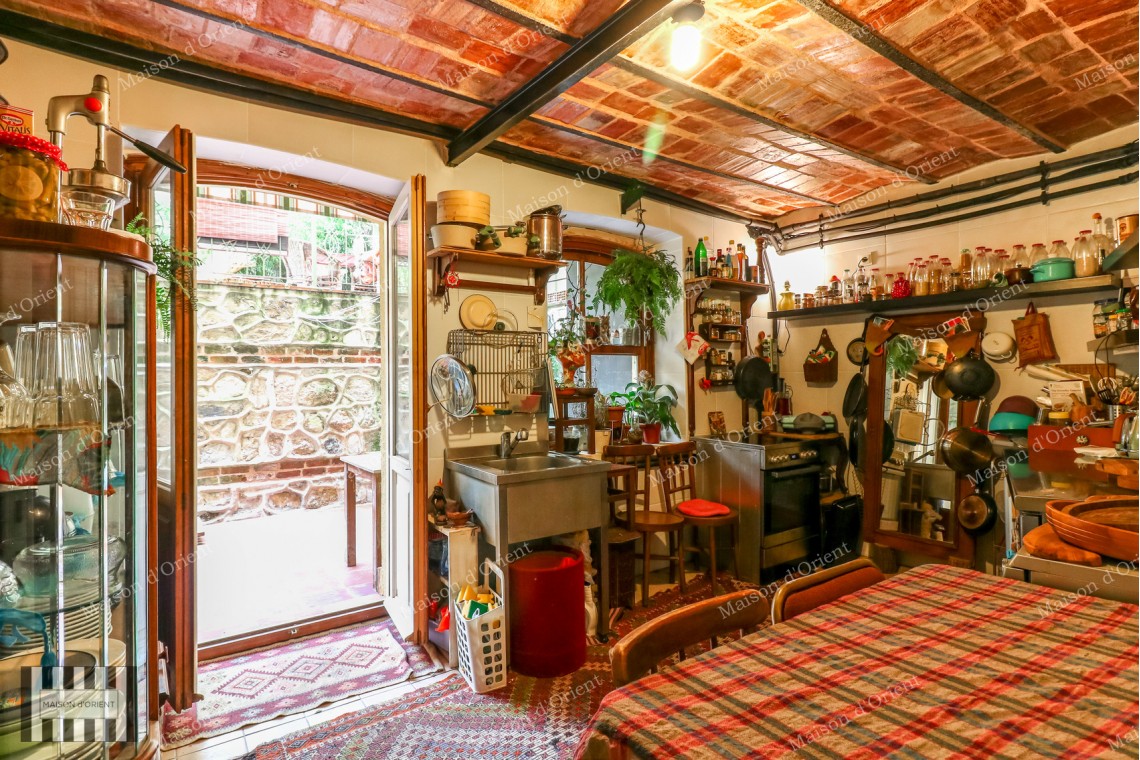Renovated Garden Duplex Office for Rent in Galata