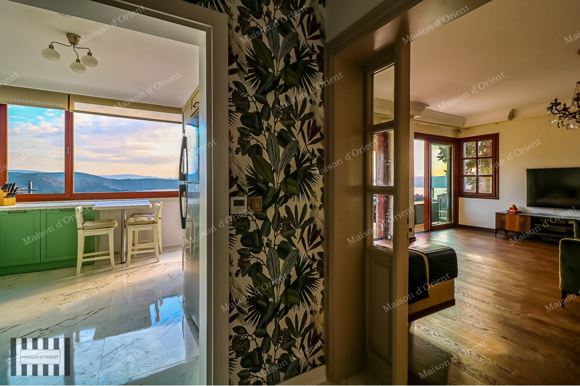 Triplex Villa for Sale with Garden and Bosphorus View in Sarıyer