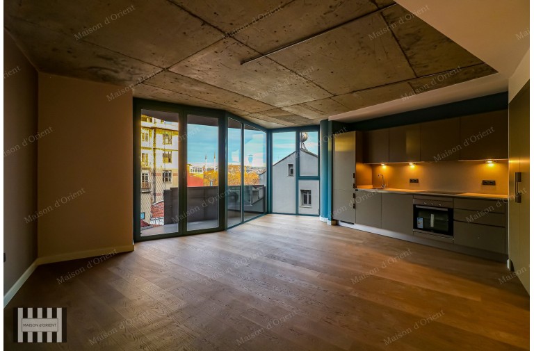 1+1 Flat for Rent in New Project, Galata