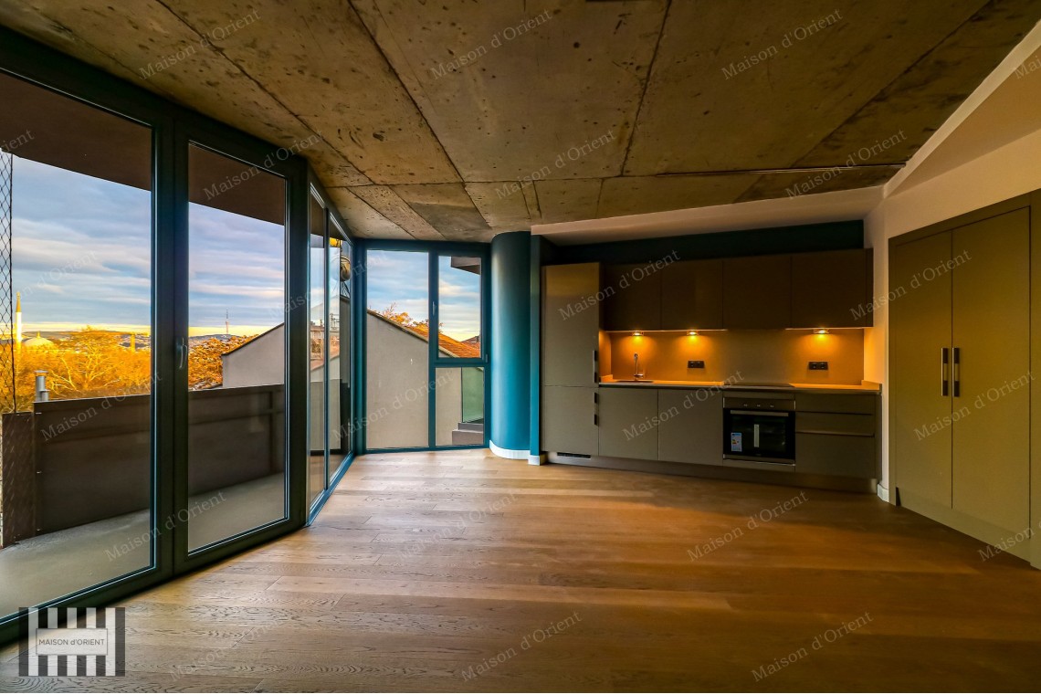 1+1 Flat for Rent in New Project, Galata