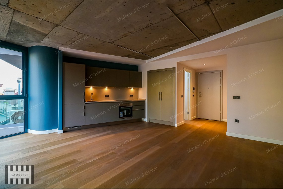 1+1 Flat for Rent in New Project, Galata