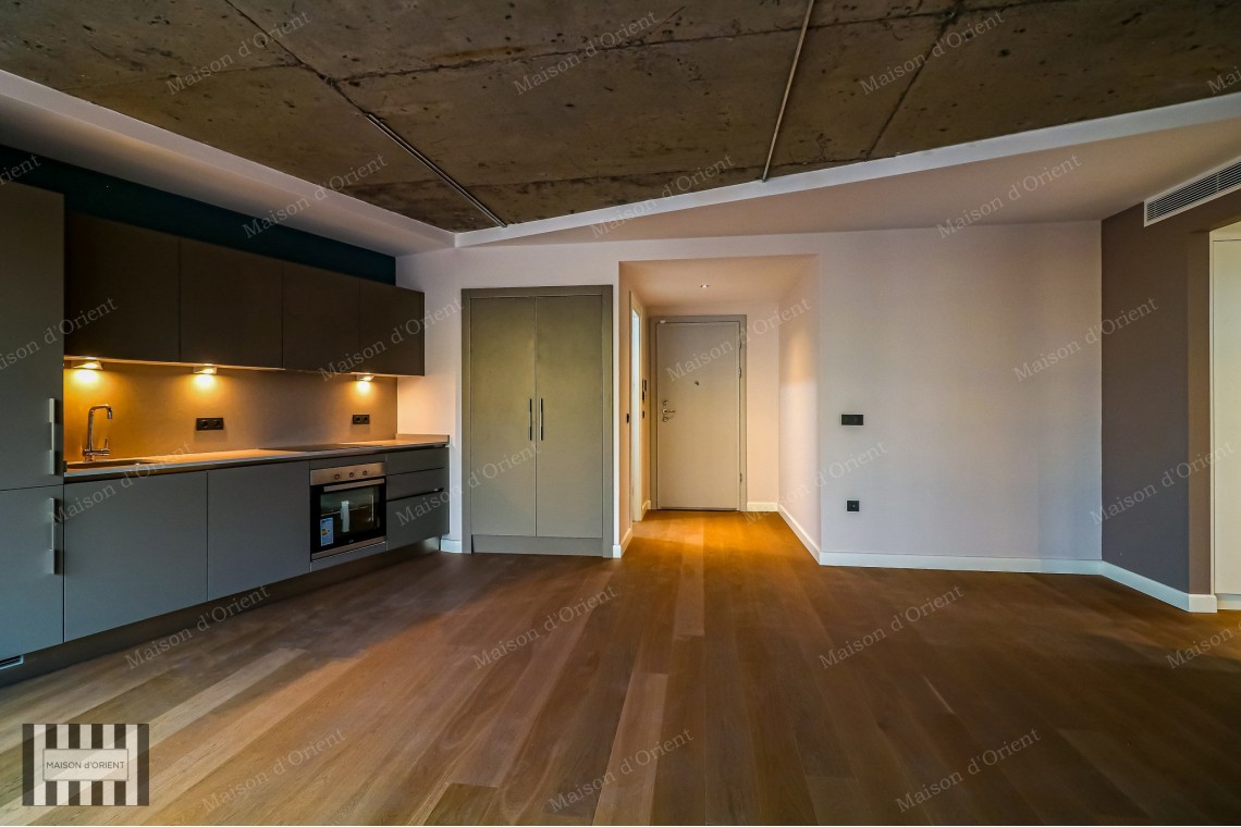 1+1 Flat for Rent in New Project, Galata