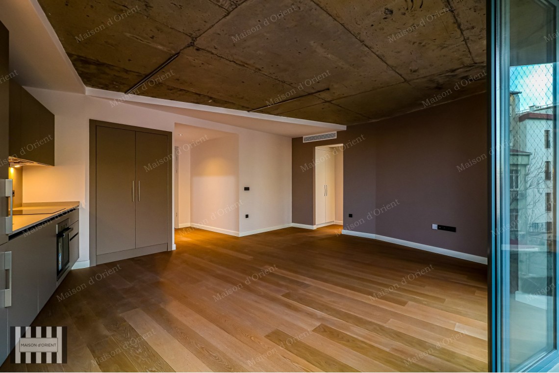 1+1 Flat for Rent in New Project, Galata