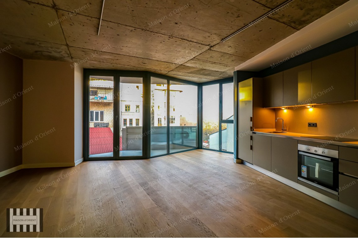 1+1 Flat for Rent in New Project, Galata