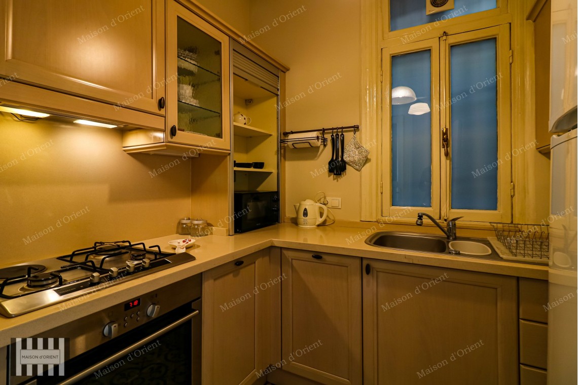2+1 Furnished Apartment for Rent with Golden Horn View in Pera