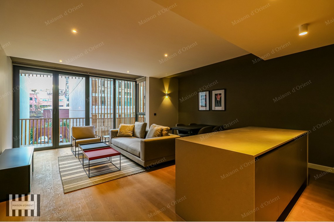 2+1 Furnished Flat for Rent in New Project, Galata