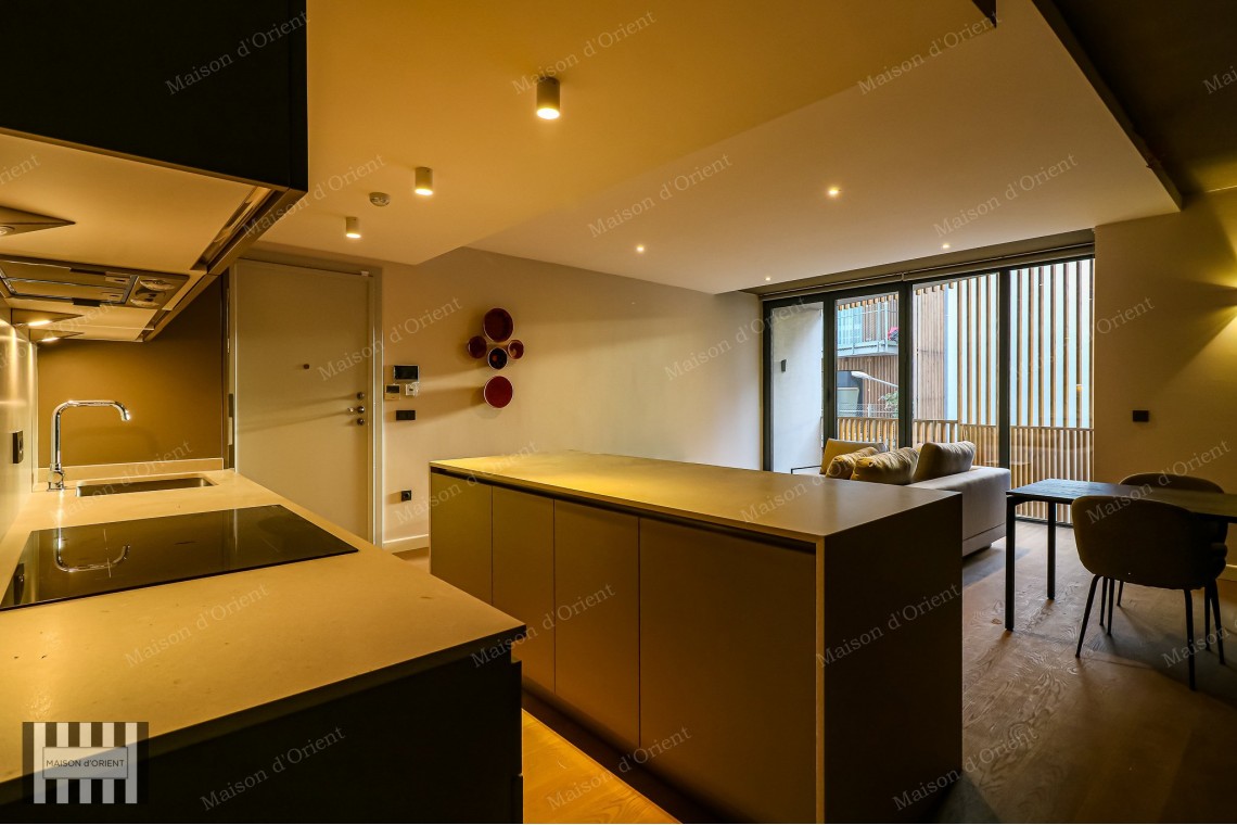 2+1 Furnished Flat for Rent in New Project, Galata