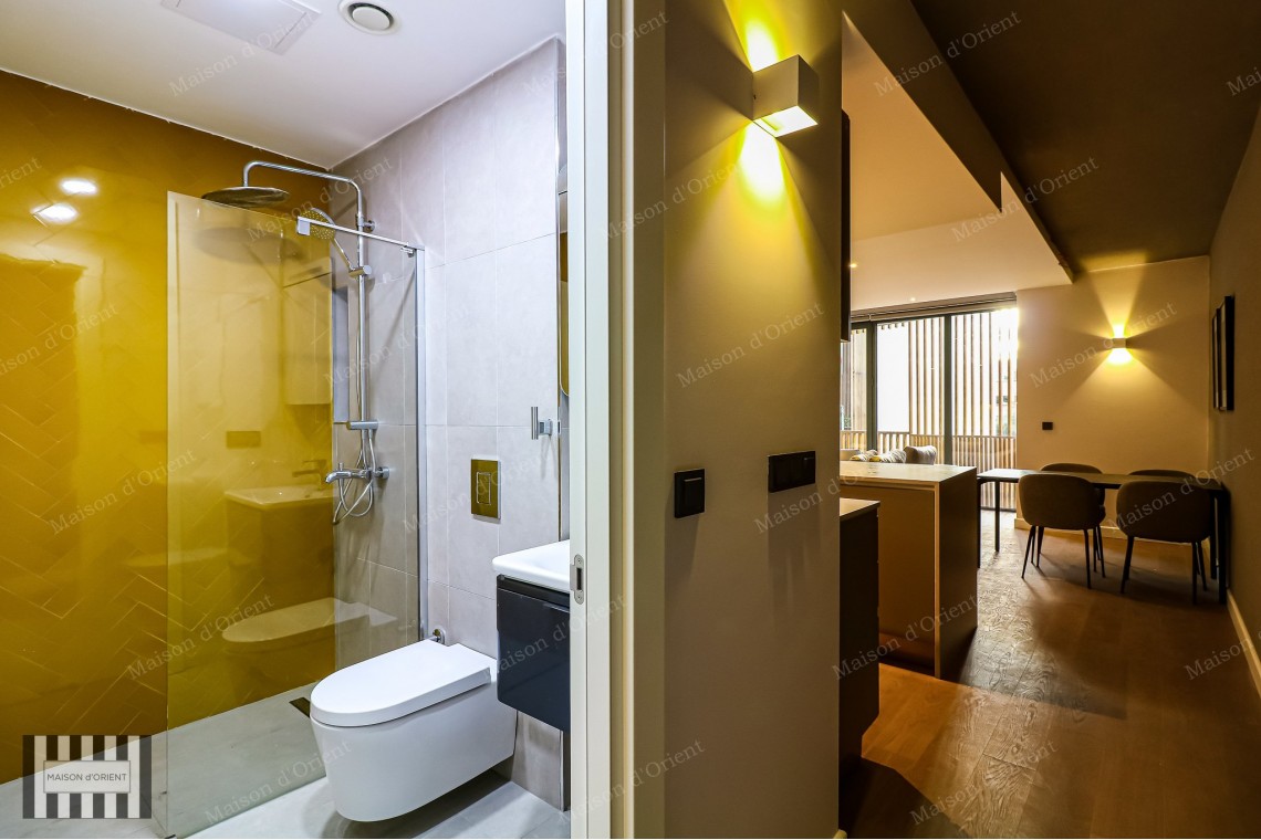 2+1 Furnished Flat for Rent in New Project, Galata