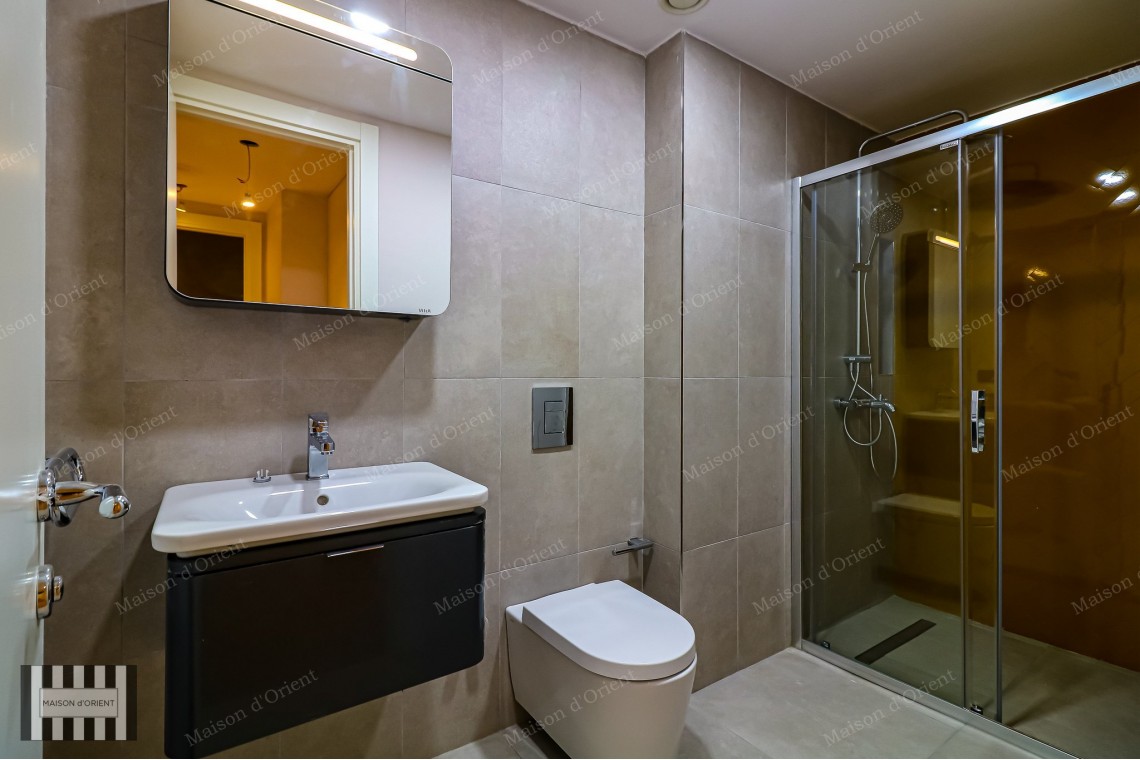 2+1 Furnished Flat for Rent in New Project, Galata