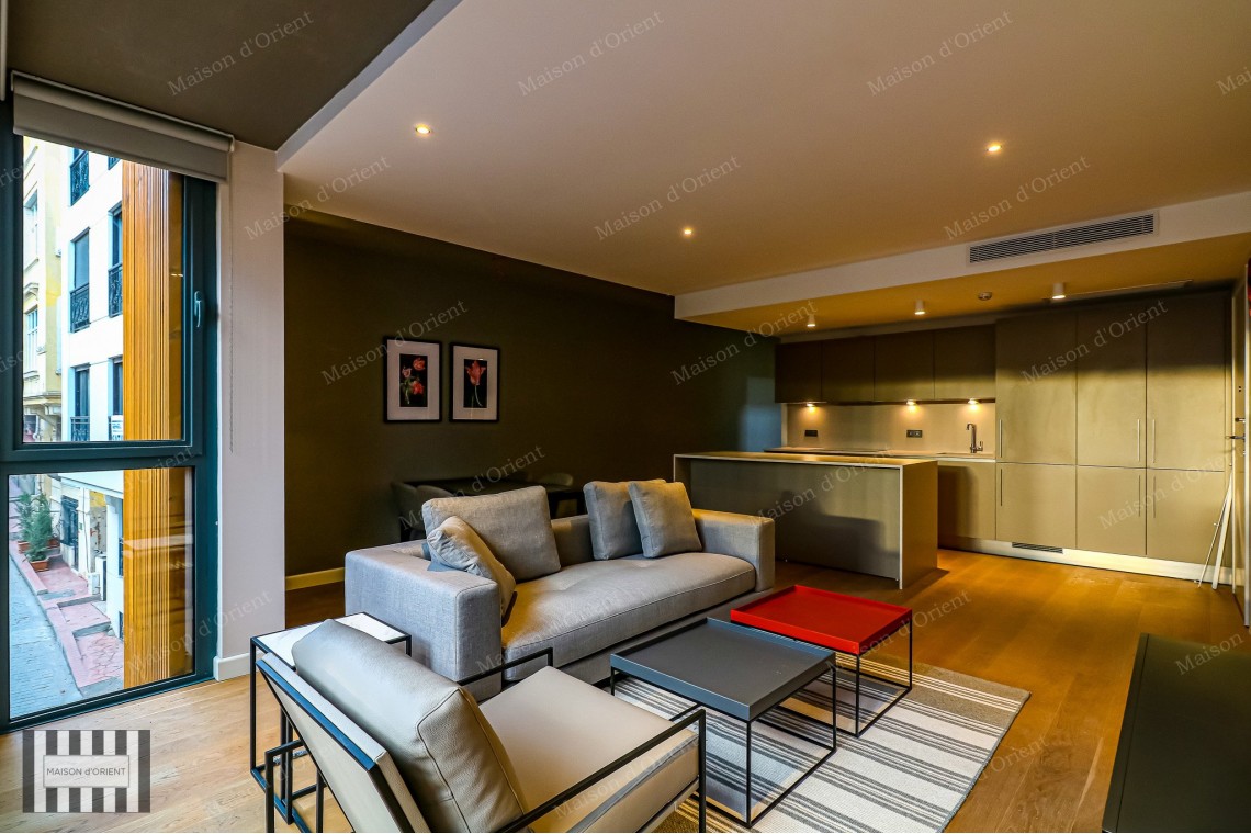 2+1 Furnished Flat for Rent in New Project, Galata