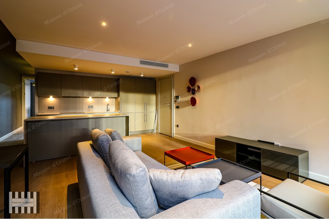2+1 Furnished Flat for Rent in New Project, Galata