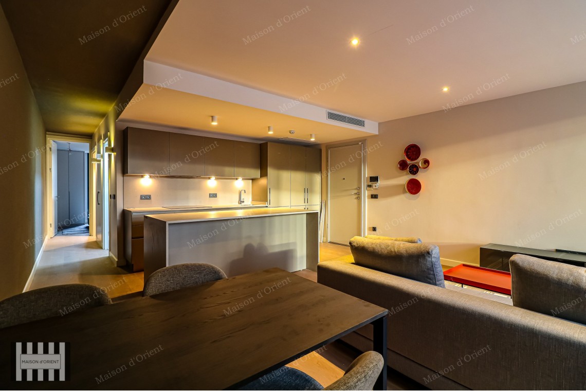 2+1 Furnished Flat for Rent in New Project, Galata