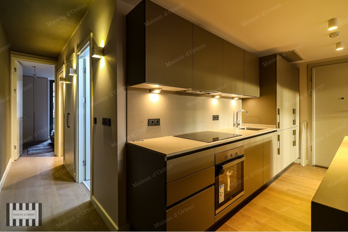 2+1 Furnished Flat for Rent in New Project, Galata