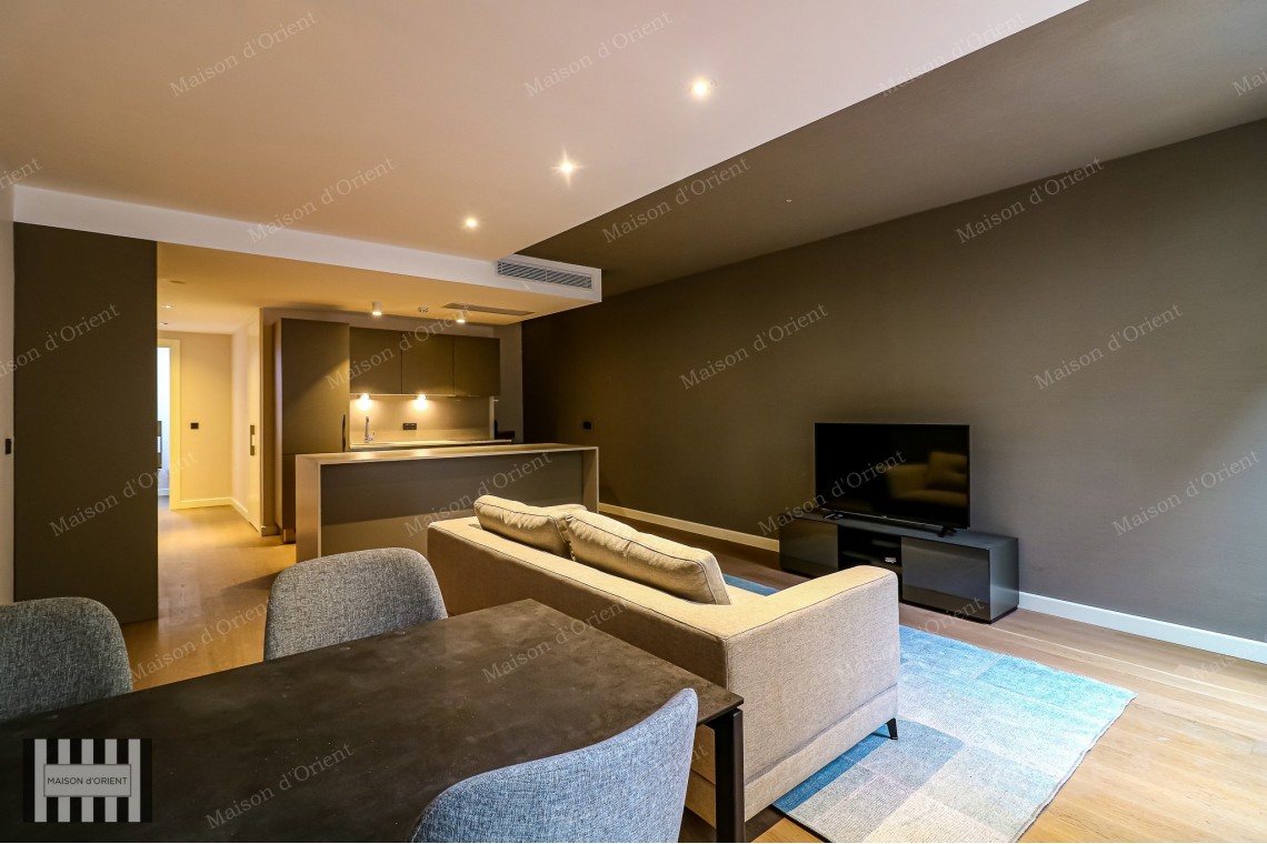 2+1 Furnished Garden Duplex for Rent in New Project, Galata