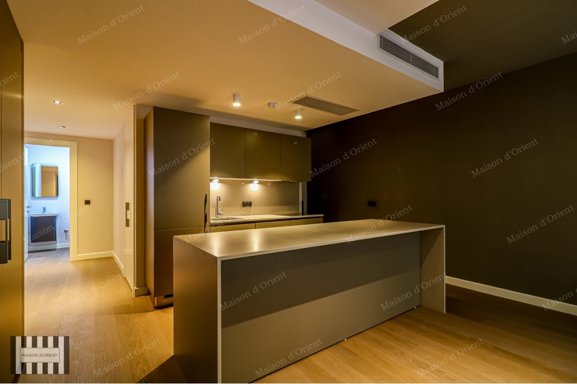 2+1 Furnished Garden Duplex for Rent in New Project, Galata