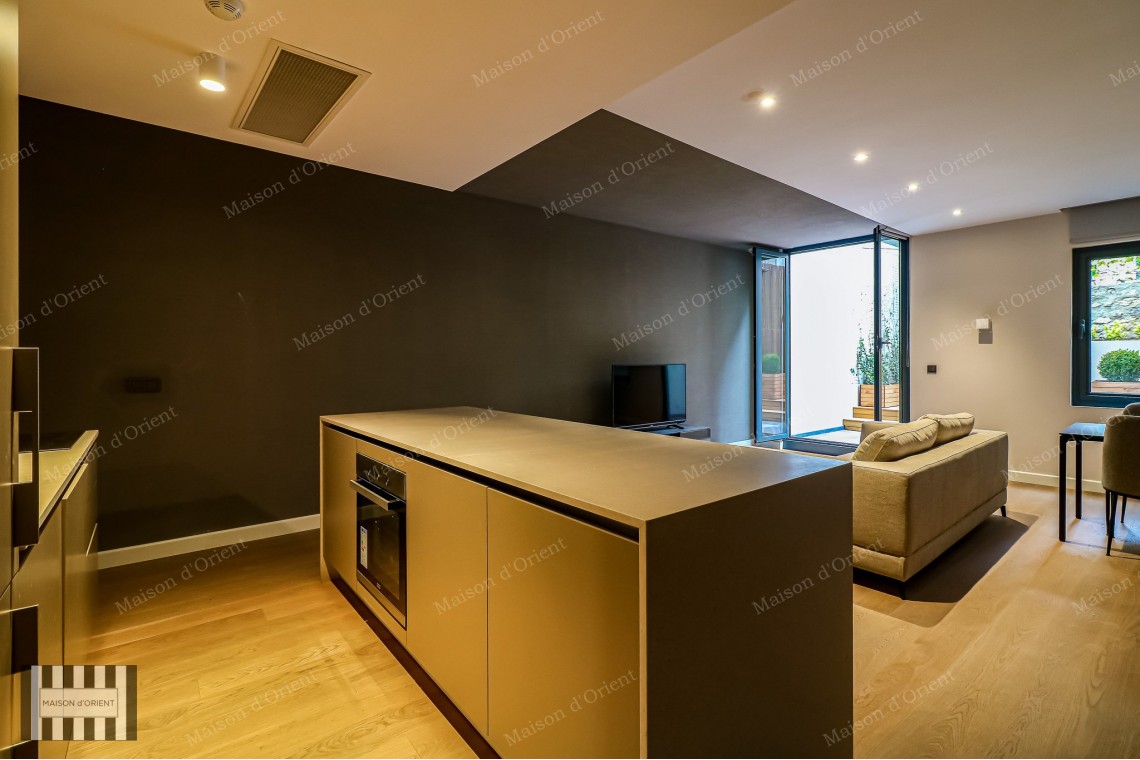 2+1 Furnished Garden Duplex for Rent in New Project, Galata