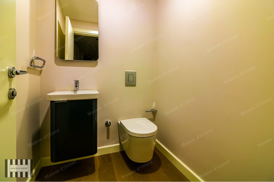 2+1 Furnished Garden Duplex for Rent in New Project, Galata