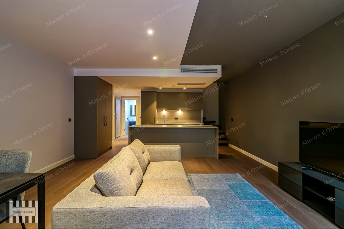 2+1 Furnished Garden Duplex for Rent in New Project, Galata