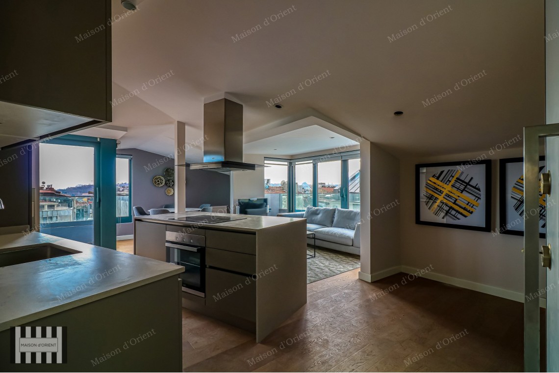 3+1 Furnished Duplex for Rent in New Project, Galata