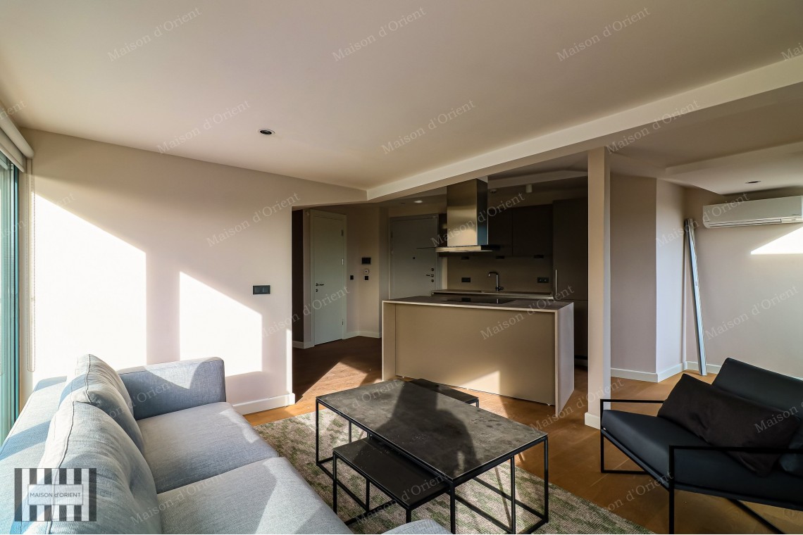 3+1 Furnished Duplex for Rent in New Project, Galata