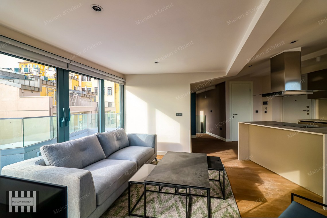 3+1 Furnished Duplex for Rent in New Project, Galata
