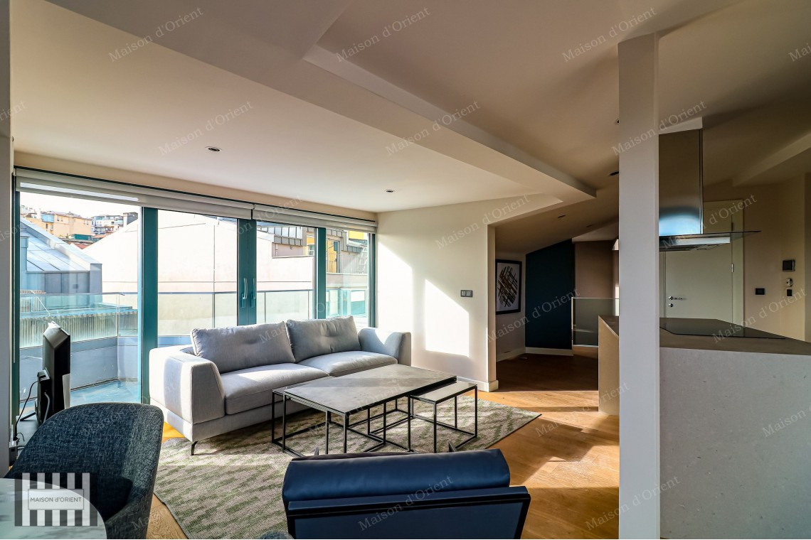 3+1 Furnished Duplex for Rent in New Project, Galata