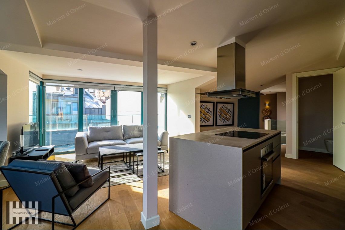 3+1 Furnished Duplex for Rent in New Project, Galata