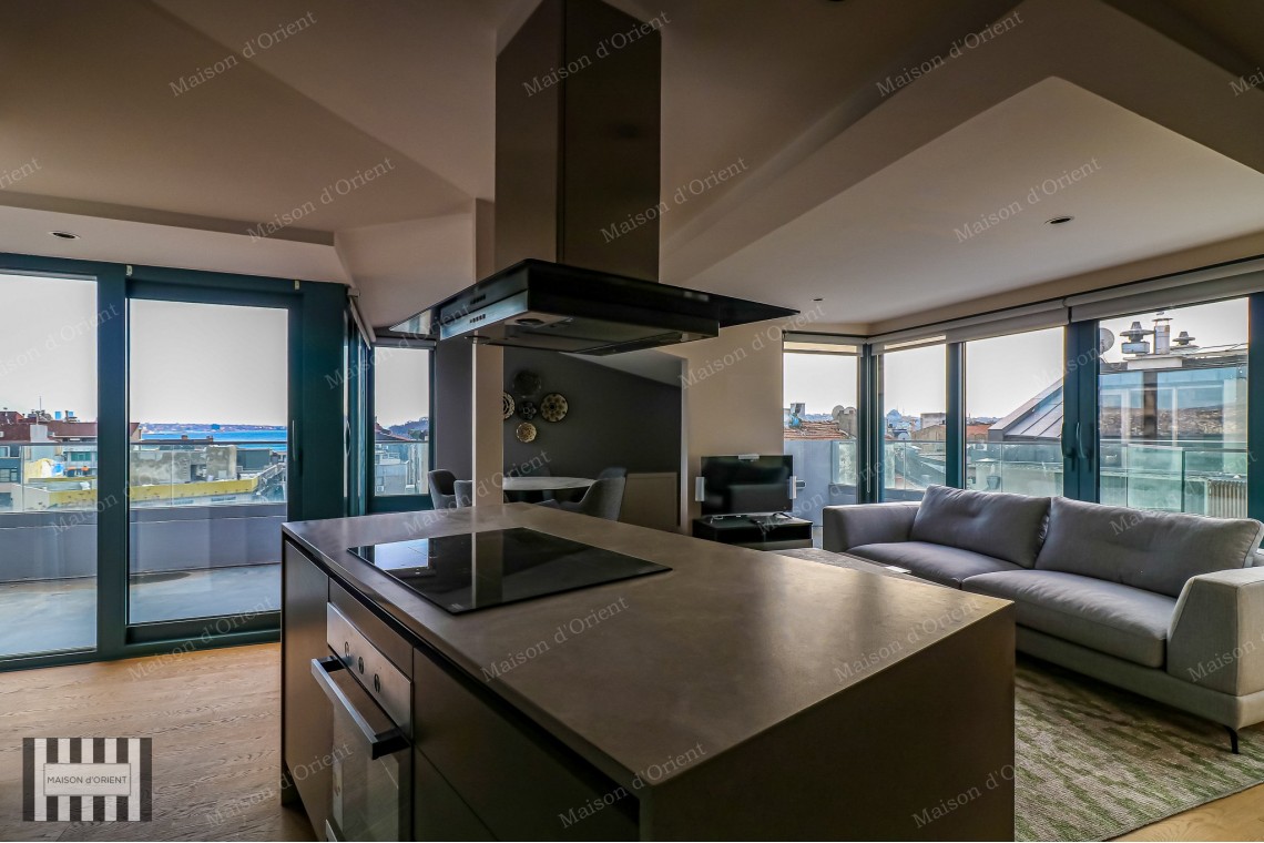 3+1 Furnished Duplex for Rent in New Project, Galata