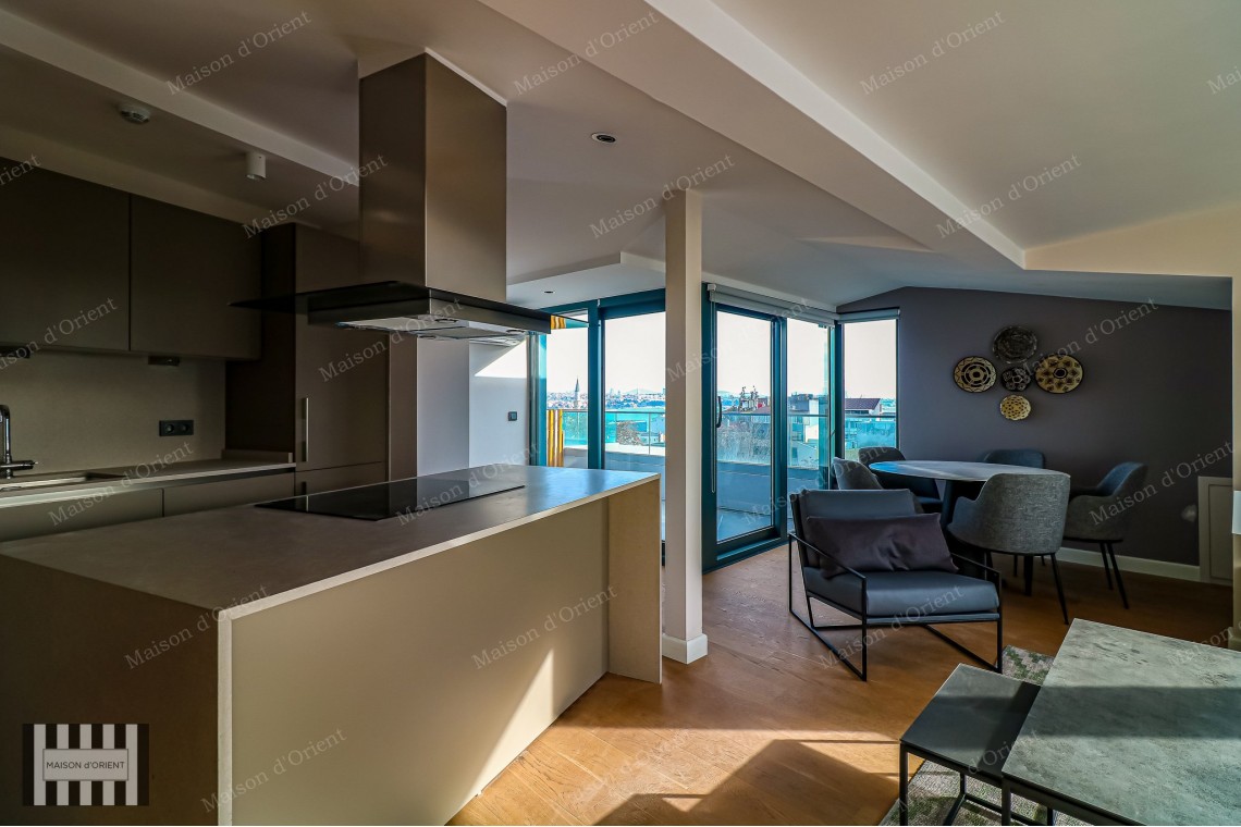 3+1 Furnished Duplex for Rent in New Project, Galata