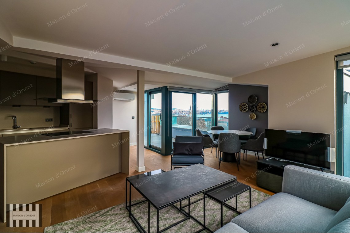 3+1 Furnished Duplex for Rent in New Project, Galata