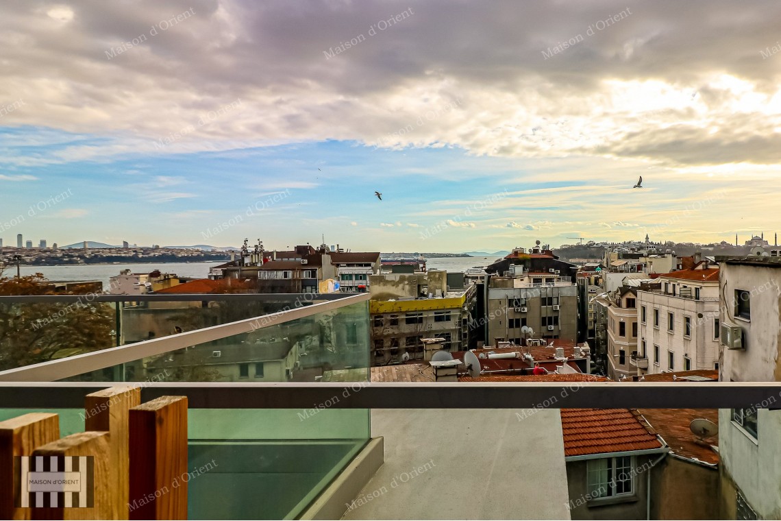 3+1 Furnished Duplex for Rent in New Project, Galata