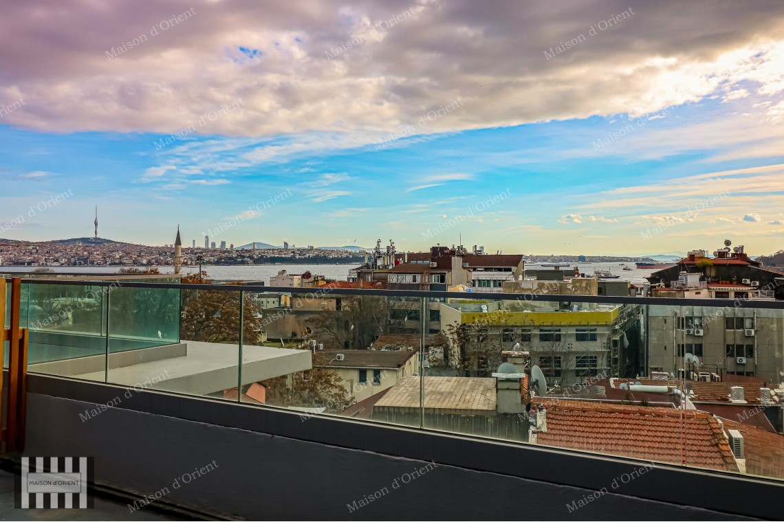 3+1 Furnished Duplex for Rent in New Project, Galata