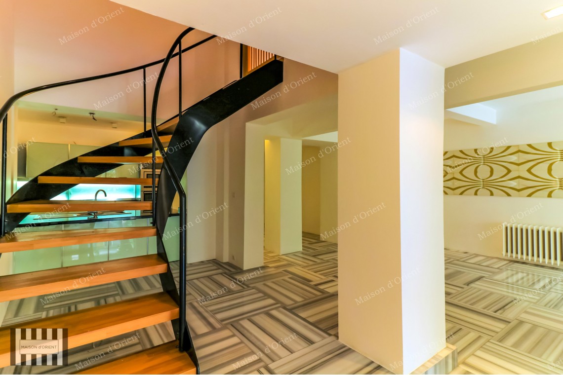 4+1 Garden Duplex for Rent in Cihangir