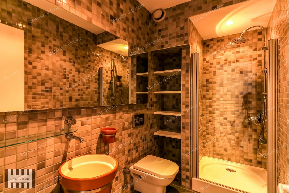 4+1 Garden Duplex for Rent in Cihangir