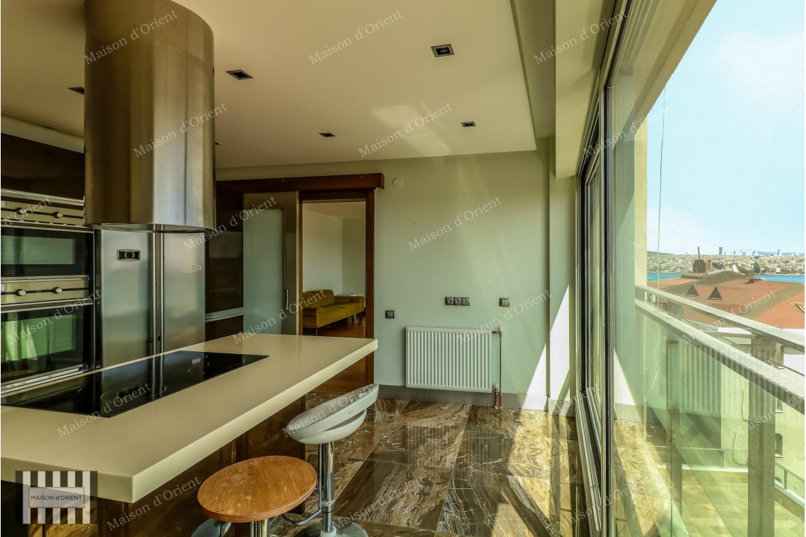 3+1 Flat with Bosphorus View for Rent in Cihangir